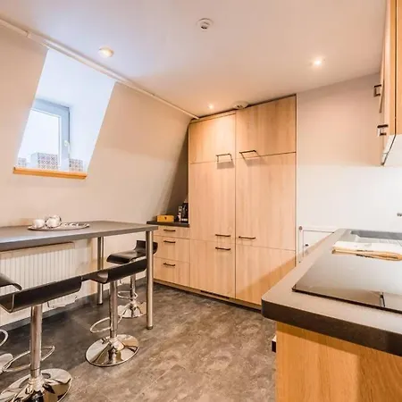 Apartament Duplex Sous Les Toits Centre-ville Cathedrale Strasburg